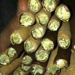 Meet your Posher, Nicolas